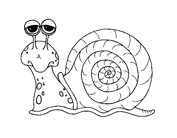 Escargot à colorier